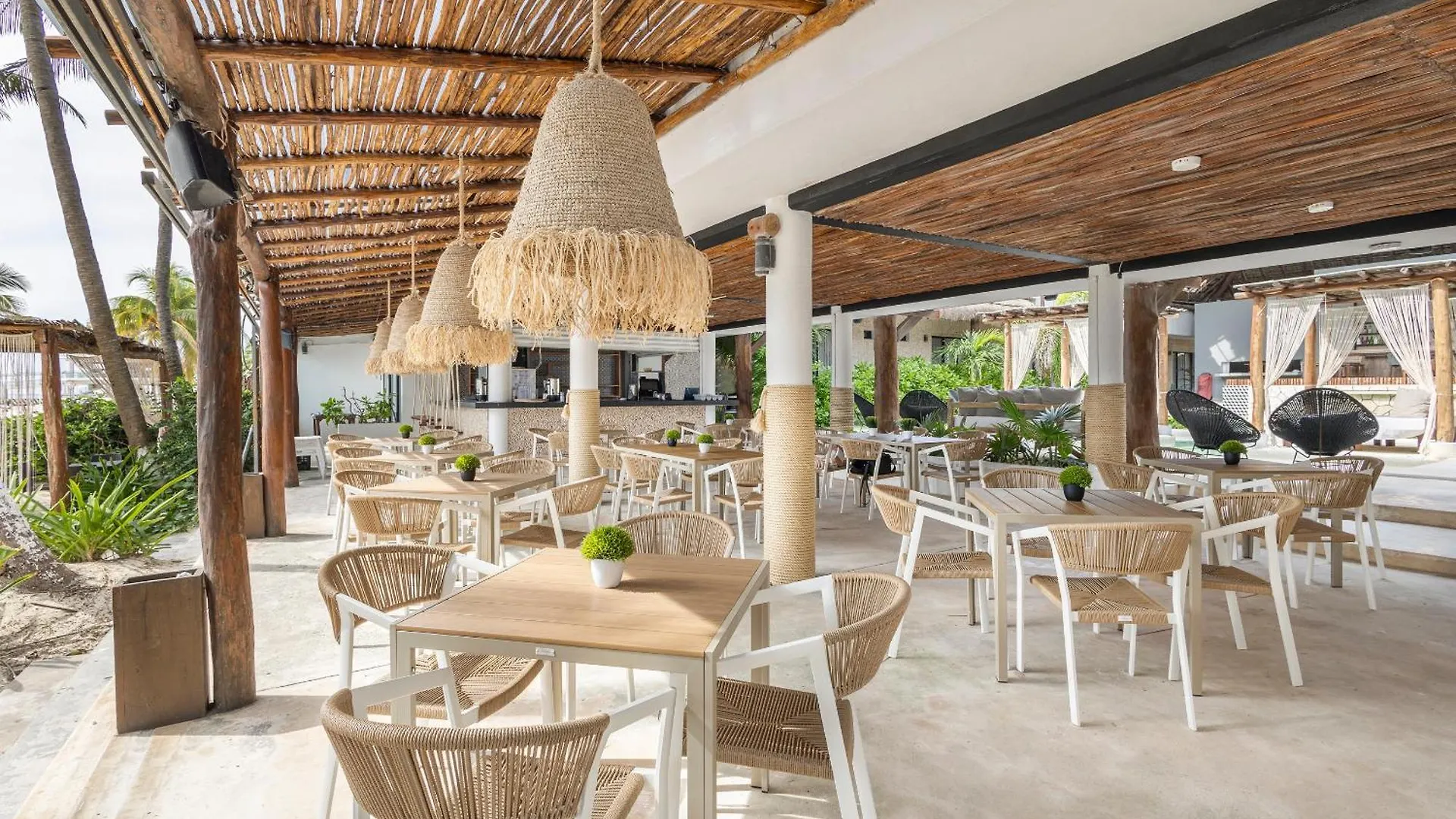 Areia Playa Del Carmen - Beach Front Hotel Boutique Mexique